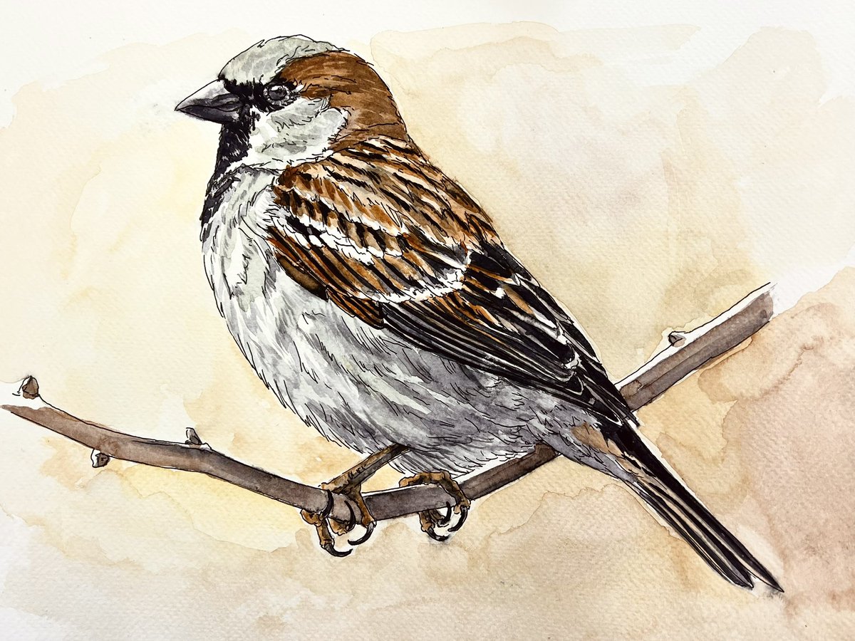 Roodborst en mus gemaakt.