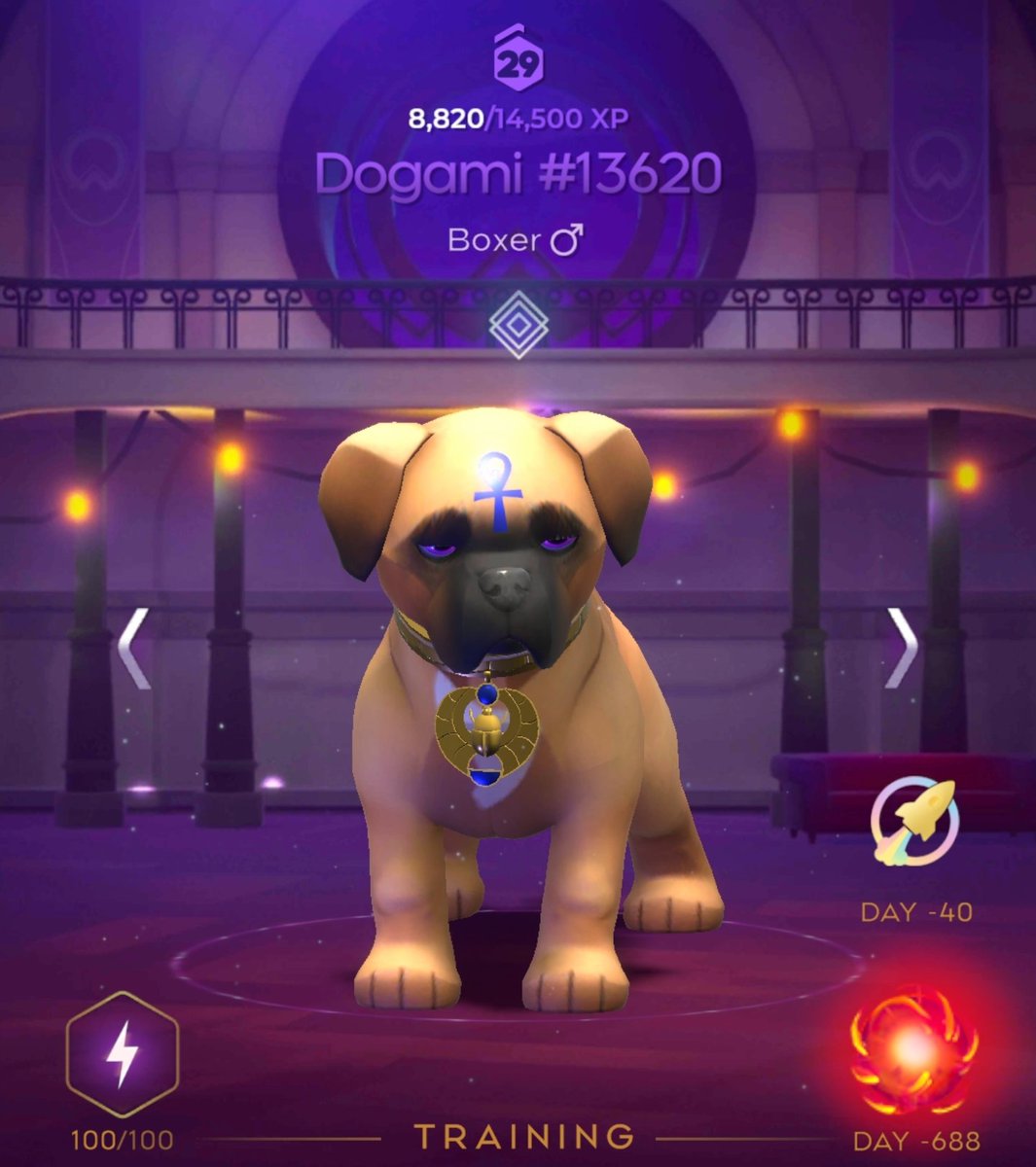 Vasya Vasya tweet media