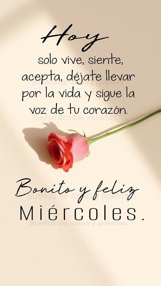 Motivosentuvida's tweet photo. Hoy, solo vive, siente, acepta, déjate llevar por la vida y sigue la voz de tu corazón ❤️
#FelizMiércoles
#BuenosDías
#frasesdemotivacion
#frasesbonitas https://t.co/fIie1uNA8Z