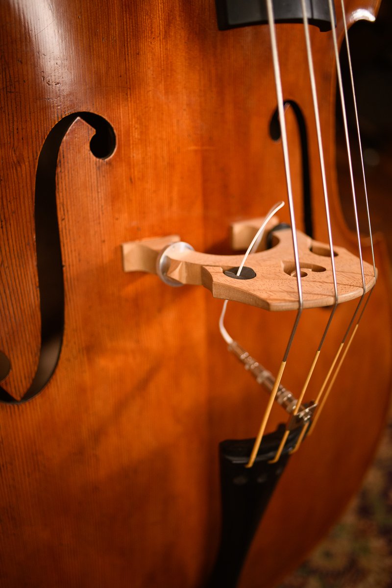 ...Just dreaming about this bass made by Randy Hunt of Hunt Double Bass 🥰😍❤
