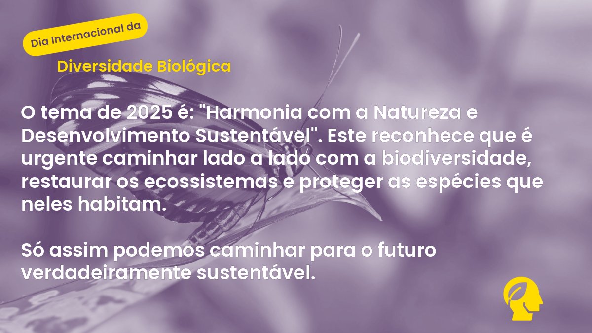 Noite Europeia dos Investigadores tweet media