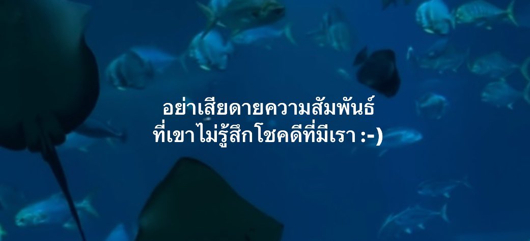 小 tweet media