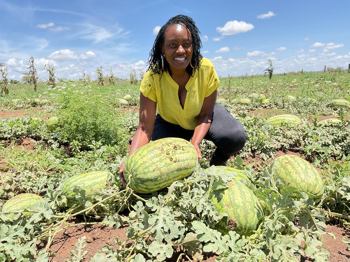 The land is the economy and the economy is the land.

#agribusinesstalk