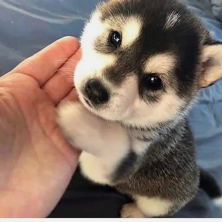 Su mirada enamora!!