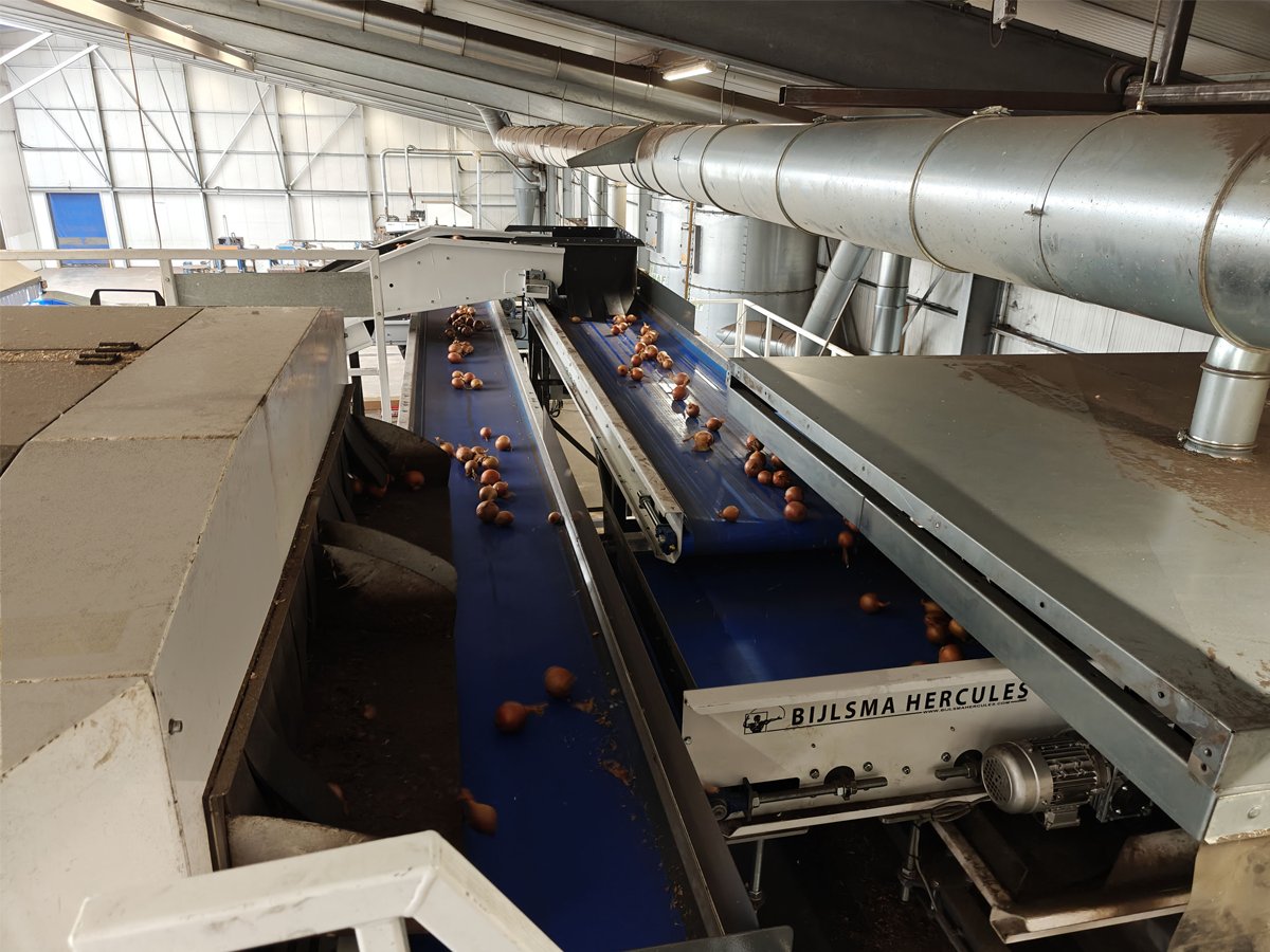 Bijlsma Hercules tweet media