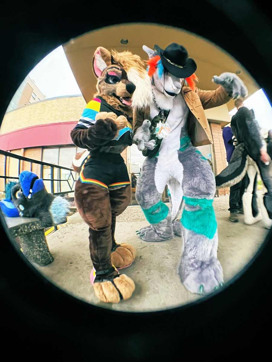 off a quick release rhino pill listening to the saddest song you have ever heard