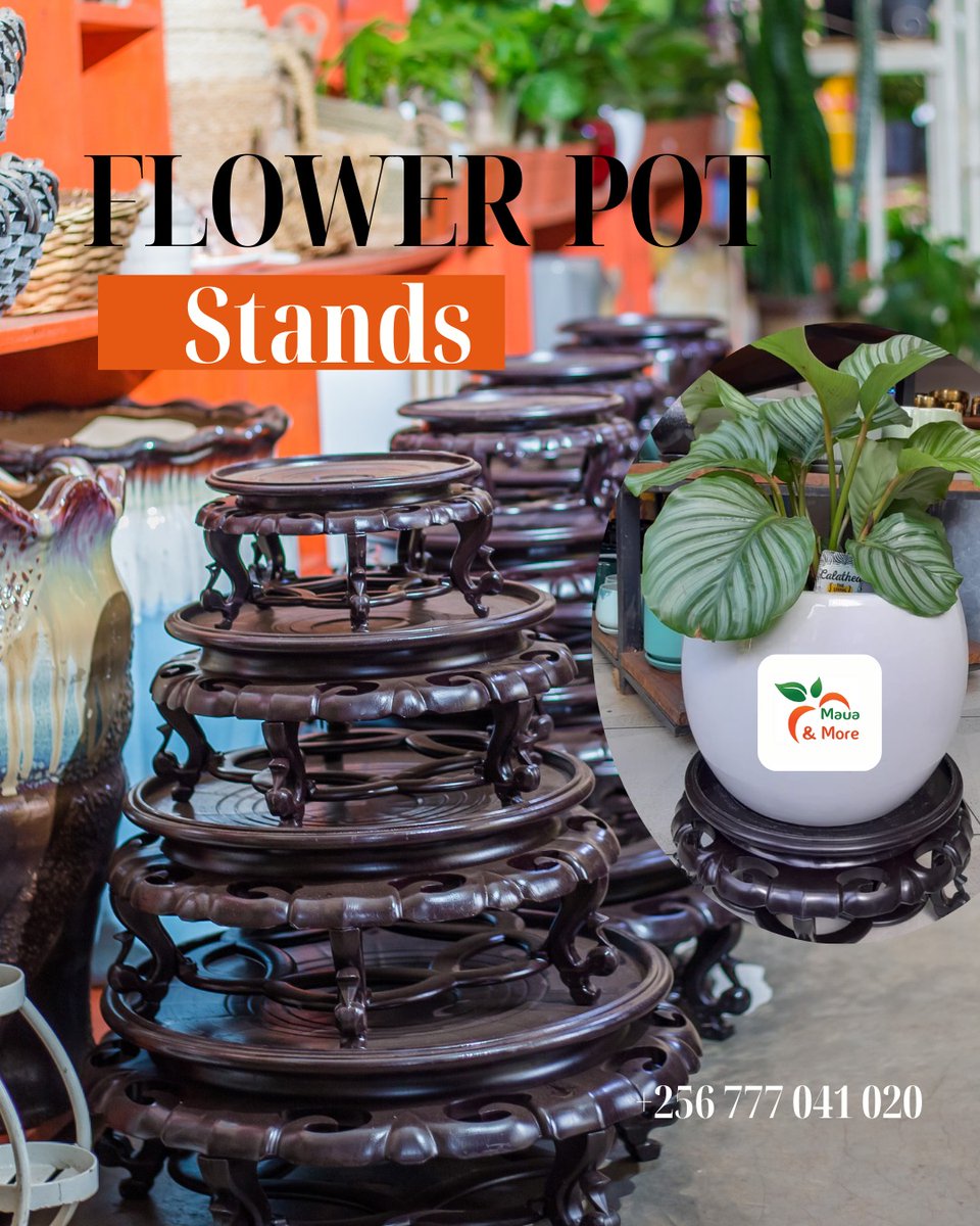 MauaAndMore's tweet image. Plant stand goals!
🌿💚 Durable, lightweight, and stylish.
 Protects your surfaces and keeps plants tidy.

 #FlowerPotStand #PlantDecor #Mauaandmore