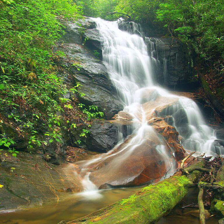 Happy #WaterfallWednesday 💦
Log Hollow Falls is a dreamy little cascade nestled in Pisgah National Forest. Standing at approximately 25 feet, it proves that waterfalls don't have to be tall to be beautiful and scenic!
#ExploreBrevard  #LandOfWaterfalls #BeWaterfallWise