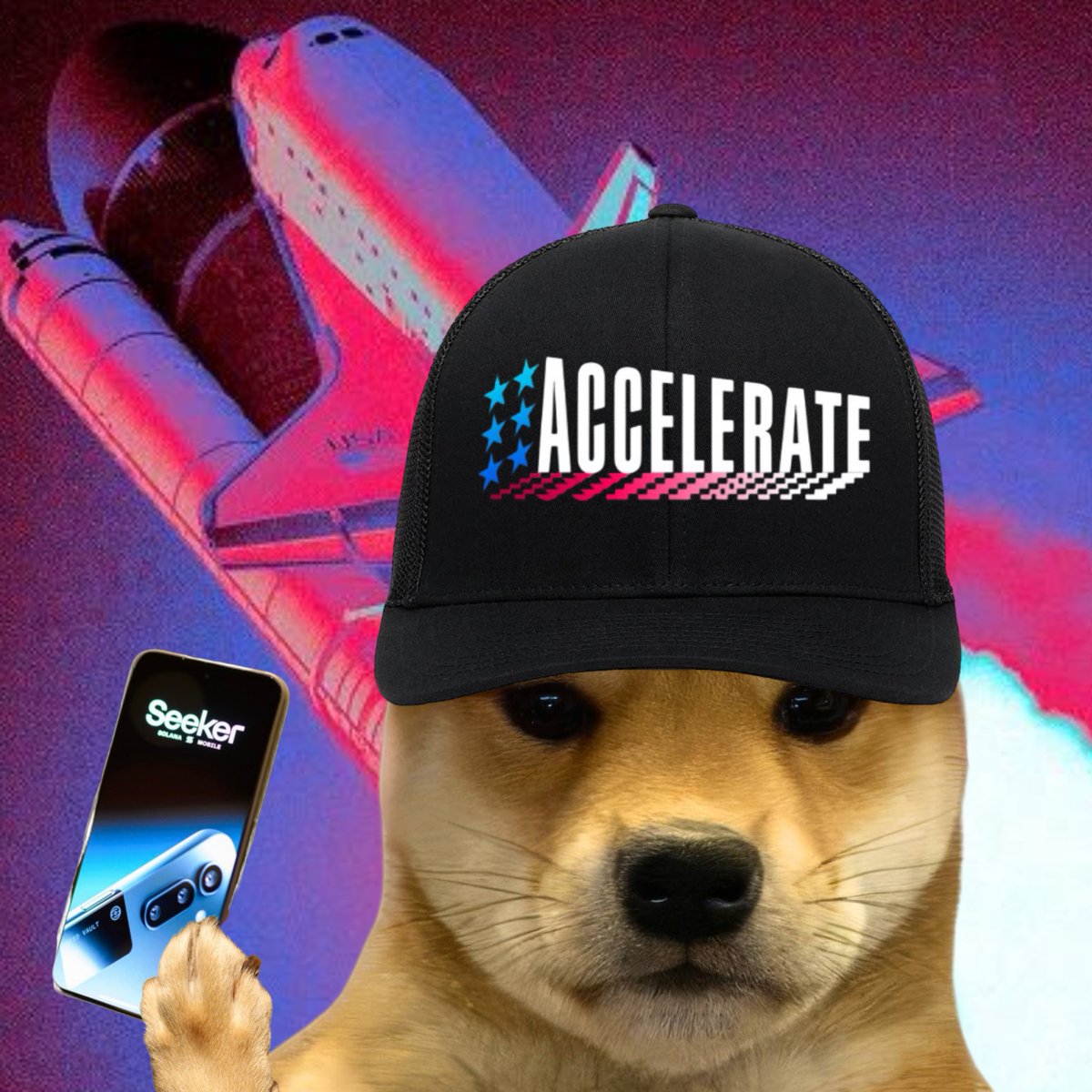 dogwifcoin's tweet photo. @solanamobile dogwifmobile https://t.co/yjVKyZIhmd