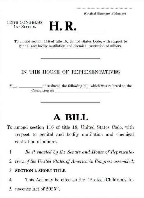 Libs of TikTok tweet media