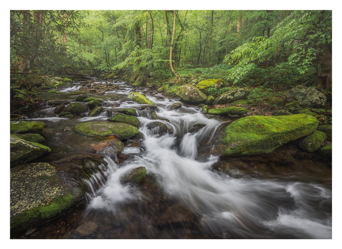 MarkDenneyPhoto's tweet photo. Some new work from the Smokies this Spring - such an amazing place to be this time of year! https://t.co/J78MEzKIZ0
