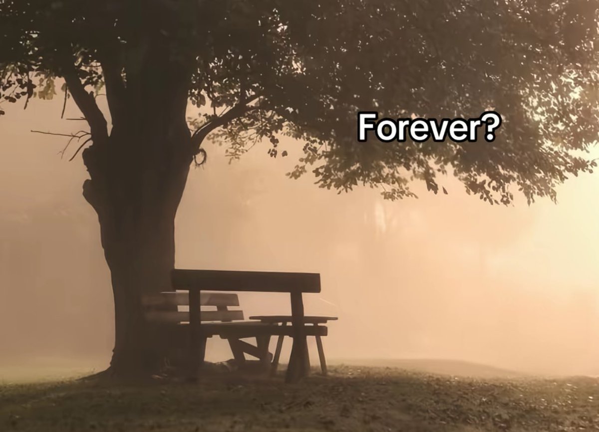 parhloumahrukh's tweet photo. forever?? FOREVER!! https://t.co/ESUwJmXmaJ