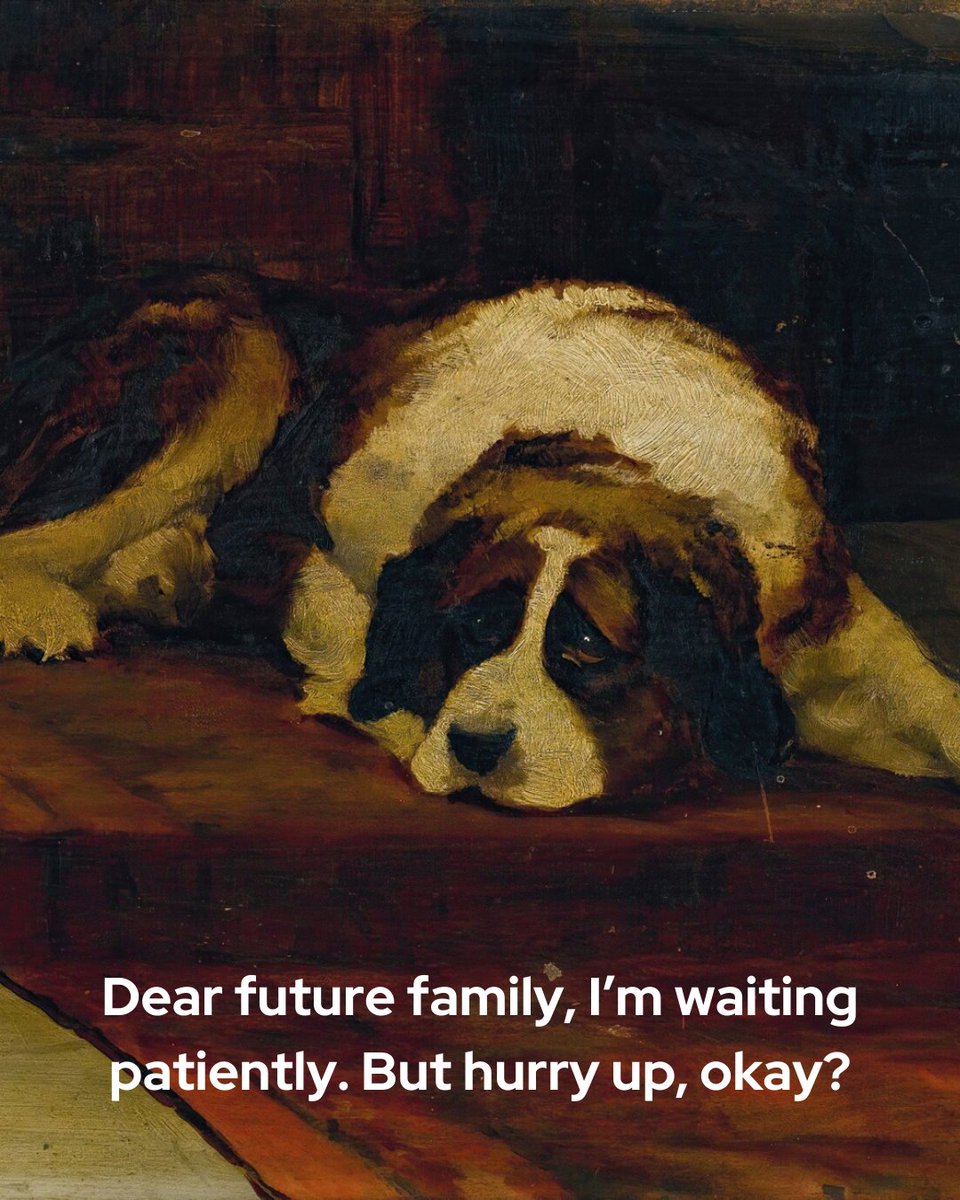 Move over, Mona Lisa. There are new masterpieces waiting for their forever homes. 🖼️🐾