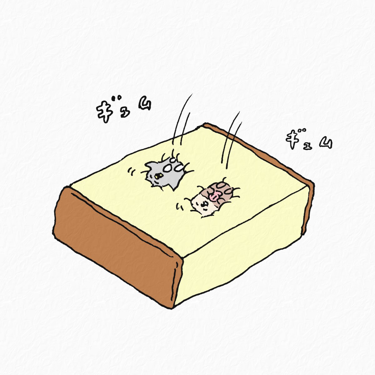 カステラに ザブン