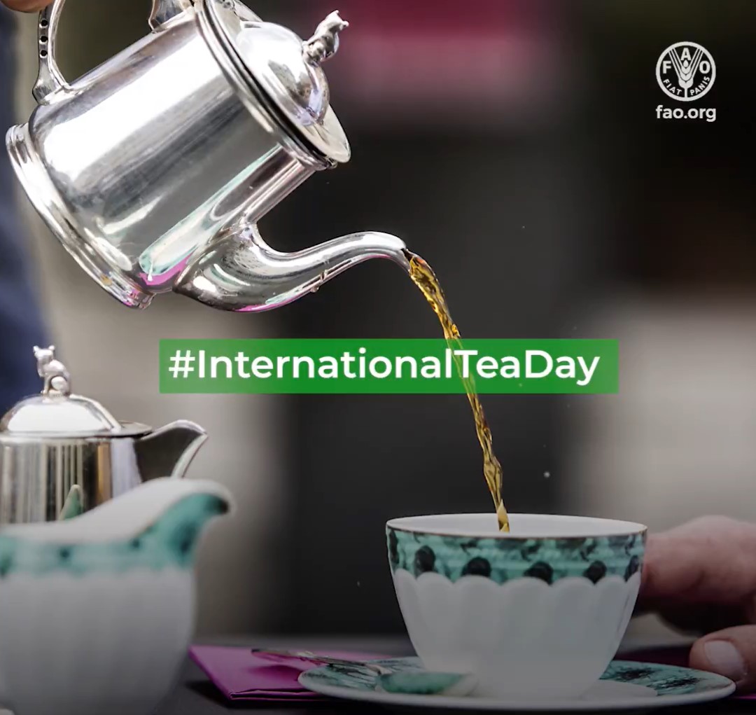 🍵Tea is...
health.
energy.
hydration.
livelihoods.
antioxidants.

What does tea mean to you?👀

fao.org/international-…

#TeaDay #FarmedWithCare