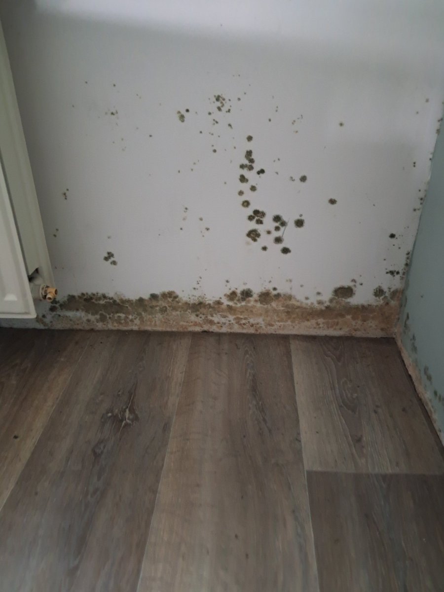 sasvde's tweet photo. Waren politieke partijen EN woningcorporaties maar net zo gretig om actie te ondernemen als t om schimmelhuizen gaat.
#Huurbevriezing #Schande #astmapatientwoonthier #Zaanstad #Parteon @SPnl @MonaKeijzer @D66 @PvdA @cdavandaag https://t.co/QHCKMWMoRZ