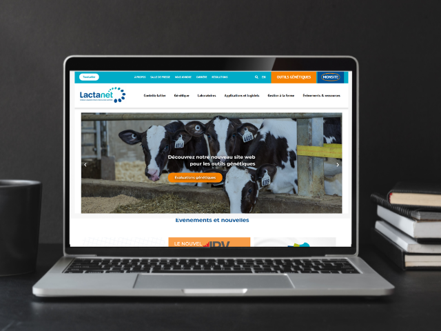 Restez connectés grâce à nos outils numériques!

Avec la grève de Postes Canada qui s’annonce, nous vous invitons à utiliser nos différentes plateformes en ligne pour accéder à toute l’information nécessaire, sans interruption.

 Nos outils numériques et nos plateformes sont à