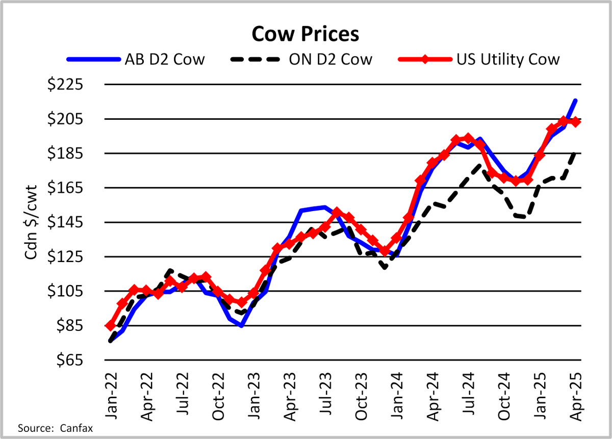 AB cull cows were the most expensive in North America in April. AB D2 cows averaged $216/cwt, +22% from last year. AB D2 cows were at a $29/cwt premium to ON D2 cows and a C$12/cwt premium to US Utility cows. Learn more at canfax.ca #cattlemarkets #CanfaxMarket