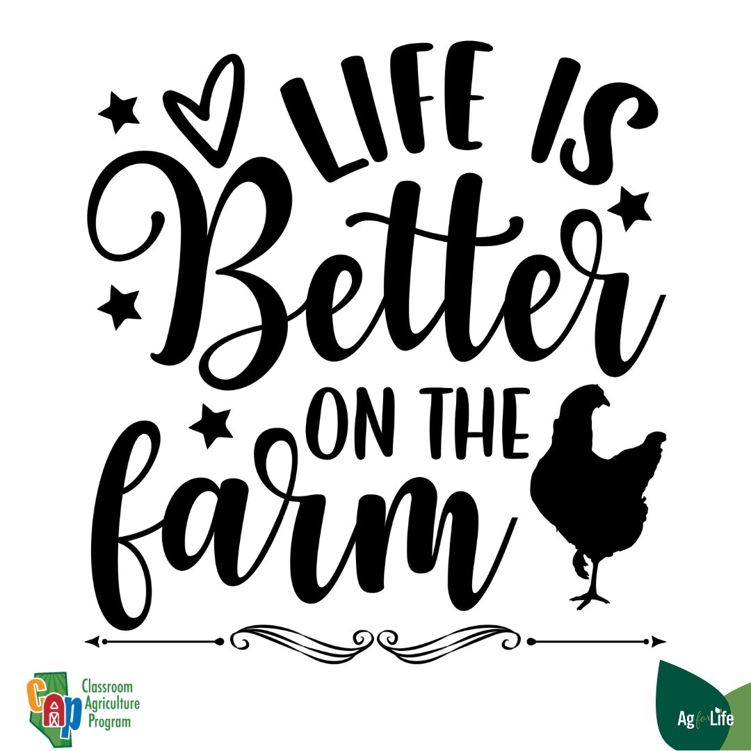 Bring the farm to your classroom! 
Reserve a Classroom Agriculture Program presentation. Bookings now open for 25/2026 school year. agricultureforlife.ca/classroom-ag-p…