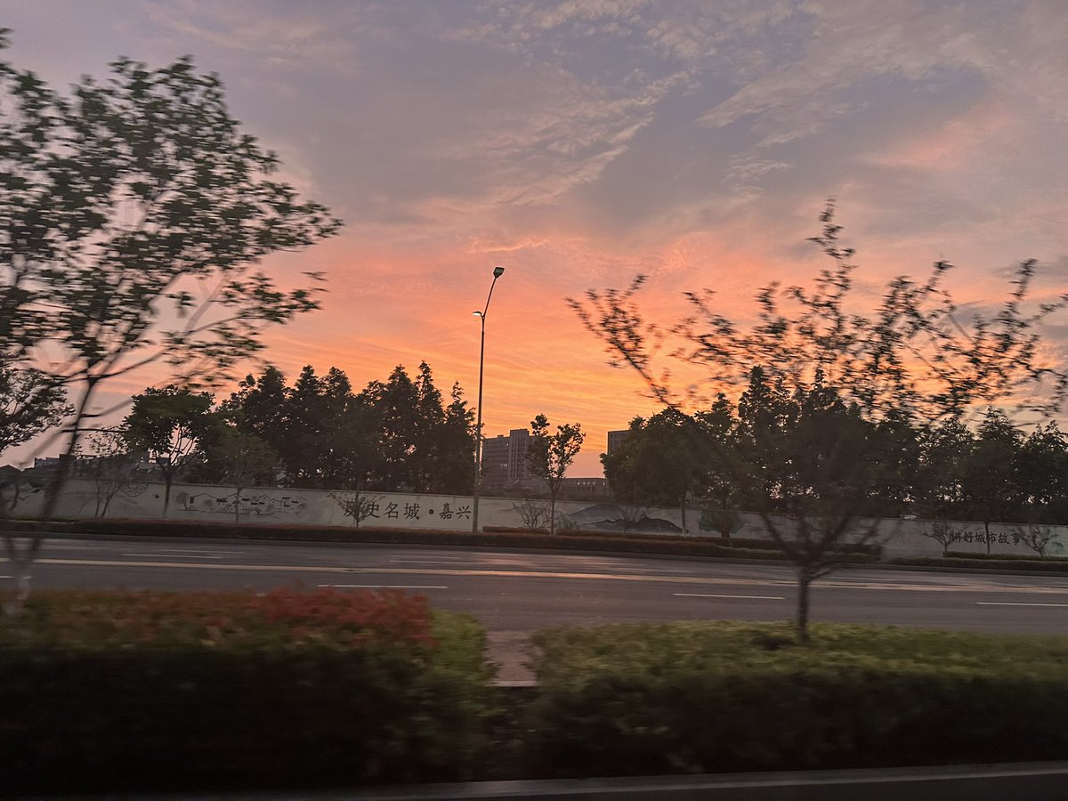 jiunaixin's tweet photo. 还是傍晚风景好 https://t.co/nLAdIlUTUg