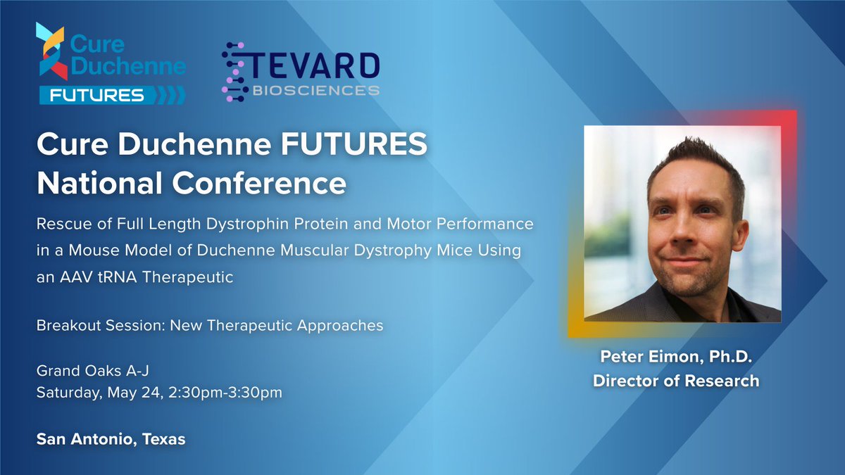 TevardB's tweet image. Director of Research at @TevardBio, Peter Eimon will present at #CureDuchenne #2025FUTURES: data show up to 27% restoration of full-length dystrophin in a #DMD model, sustained for 12+ weeks with no adverse effects.