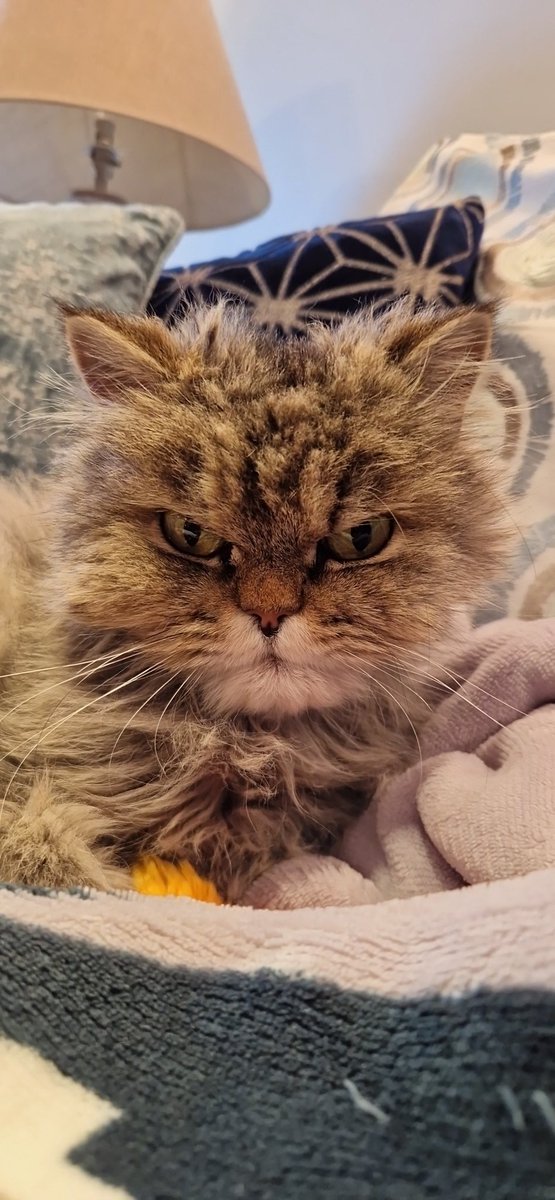 Mark Leith tweet media