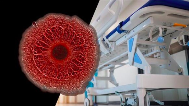 📰 #BreakingNews For The First Time, Common Hospital “Superbug” Found To Break Down Medical Plastics. Scientists have discovered that a common type of bacteria that causes infections in hospitals can break down biodegradable plastics that are.. Read more! lnkd.in/em9GHPVr