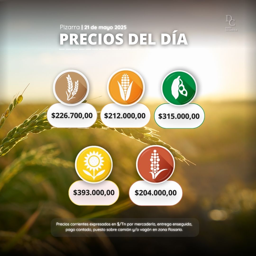 📊 𝗣𝗿𝗲𝗰𝗶𝗼𝘀 𝗱𝗲 𝗣𝗶𝘇𝗮𝗿𝗿𝗮 | #𝗥𝗼𝘀𝗮𝗿𝗶𝗼 21/05 :📊

🔸¡Mantente al tanto de las últimas cifras del mercado agropecuario con nosotros!

✅Agenda este nro. +𝟱𝟰 𝟵 𝟯𝟰𝟮𝟰 𝟮𝟮-𝟲𝟭𝟴𝟴 y hace tu consulta de manera rápida y fácil 😄👌

#DuttoCereales #Agro