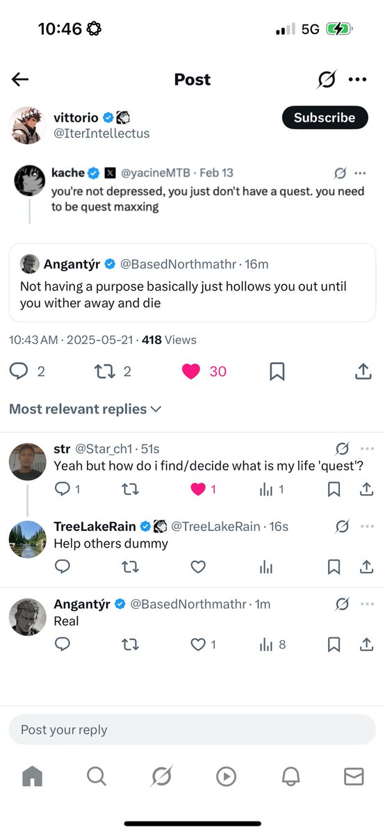 Tree Lake Rain tweet media