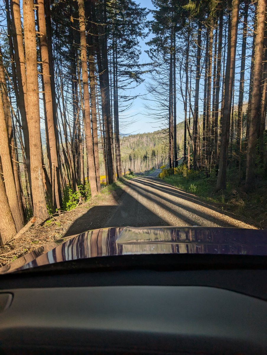 LivingInKaos's tweet image. Did a small bit of off-road @comma_ai driving this morning. I'll upload some video later, but I will say, it's a great companion.... (Was only a level 2 trail at the top, but that's not the point)