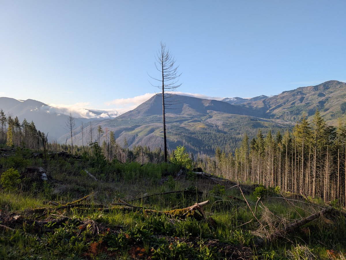 LivingInKaos's tweet image. Did a small bit of off-road @comma_ai driving this morning. I'll upload some video later, but I will say, it's a great companion.... (Was only a level 2 trail at the top, but that's not the point)