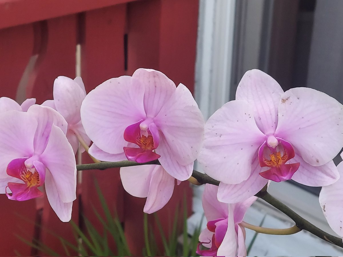 Tracy Munford tweet media