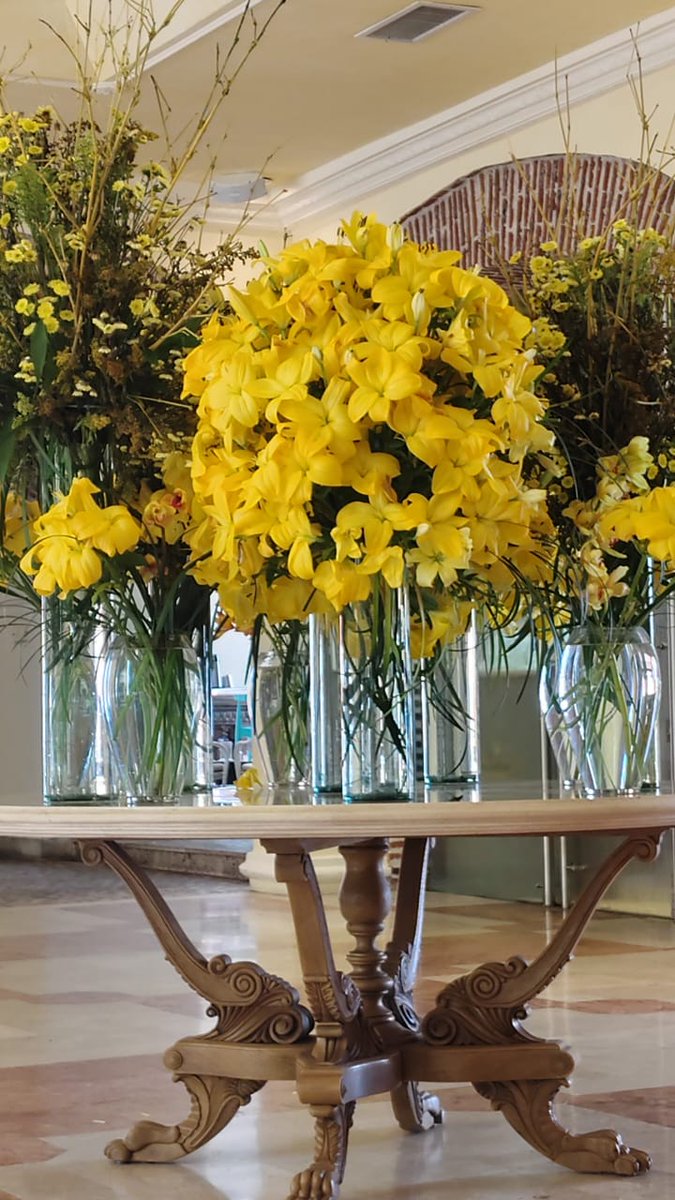 Owls7corp tweet media