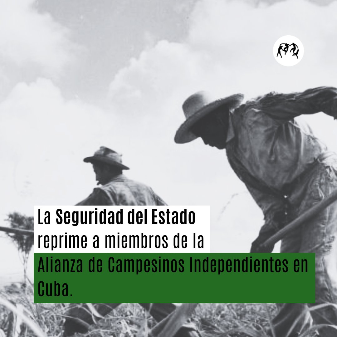 observacuba's tweet photo. 🔴 URGENTE | En Báguano, Holguín, la Seguridad del Estado está deteniendo a miembros del proyecto Alianza de Campesinos Independientes de Cuba, una organización con presencia en varias provincias y municipios del país.  
🚨 Denunciamos esta nueva ola represiva contra quienes alzan su voz desde el campo cubano. 

 #Cuba #DerechosHumanos #Represión #Campesinos #Holguín #LibertadYa