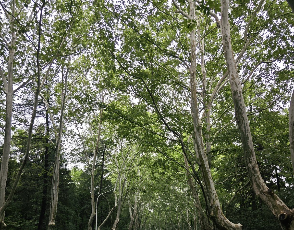 和 <a href="/LLyu22/">里奥Leol</a> 一起出来玩了喵