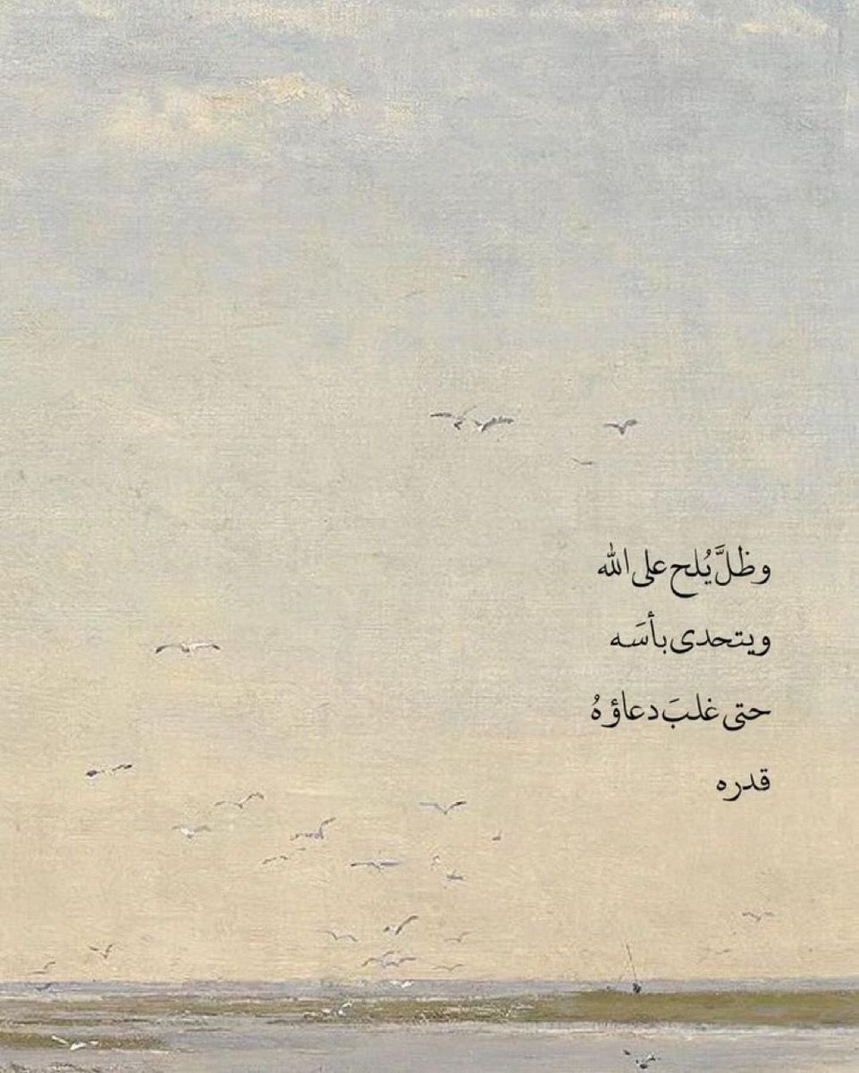 Dina Ali (@dinaalnefaie) on Twitter photo 