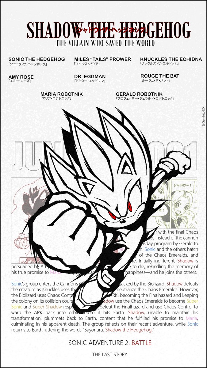 poster for the last story