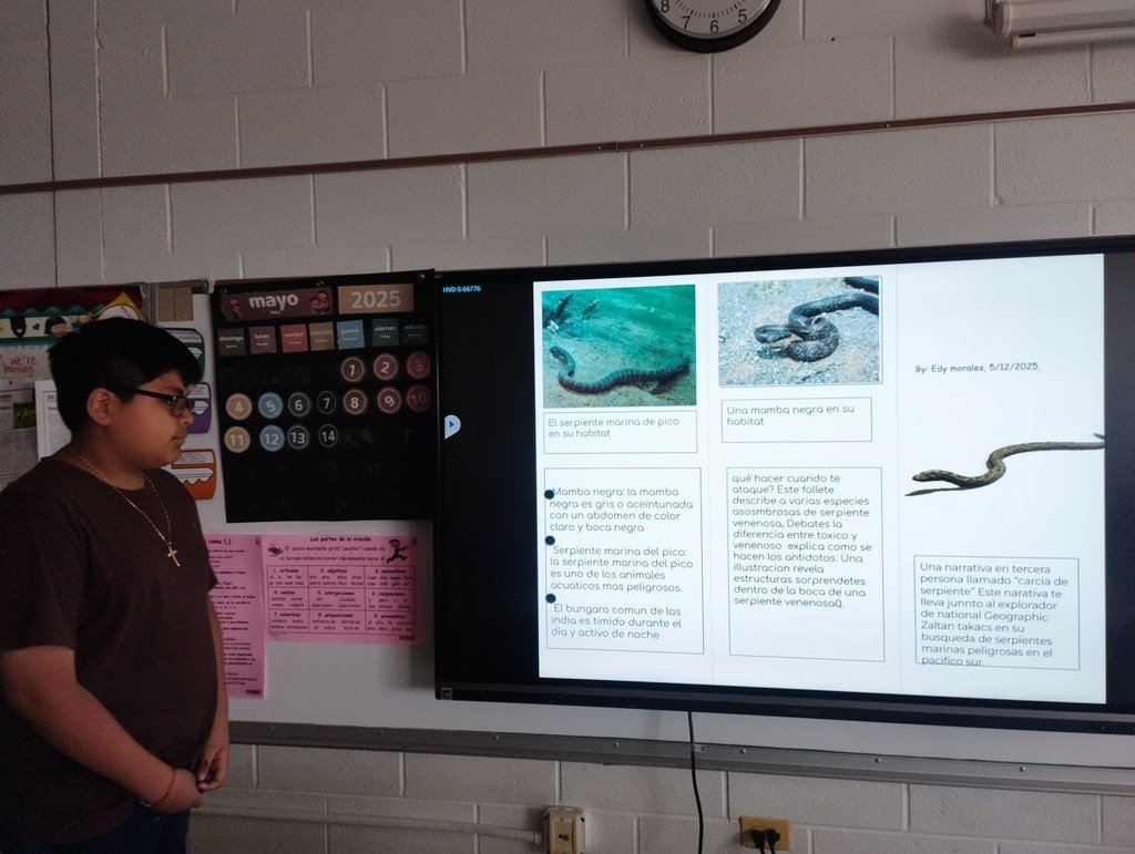 🗞️ Extra! Extra! Ms. Arias' class practiced writing informative texts using newspaper articles! ✍️📰🧠
¡Extra! ¡Extra! ¡La clase de la Sra. Arias practicó la escritura de textos informativos con artículos de periódico! 
#JeffersonJourney🐝