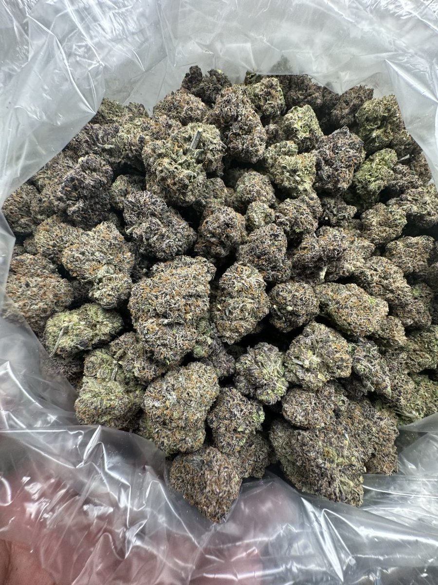 Purple LCG brandable  🍬