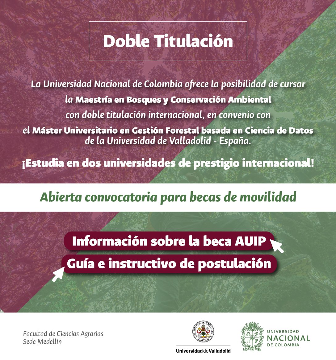🎓🌱Ya está abierta la convocatoria para cursar la MaMaestría en Bosques y Conservación Ambiental (UNAL) + Máster en Gestión Forestal con Ciencias de Datos (Univ. de Valladolid 🇪🇸).

Postúlate a las becas AUIP 2025 🌍✈️
📌 Más info en el link de la biografía.