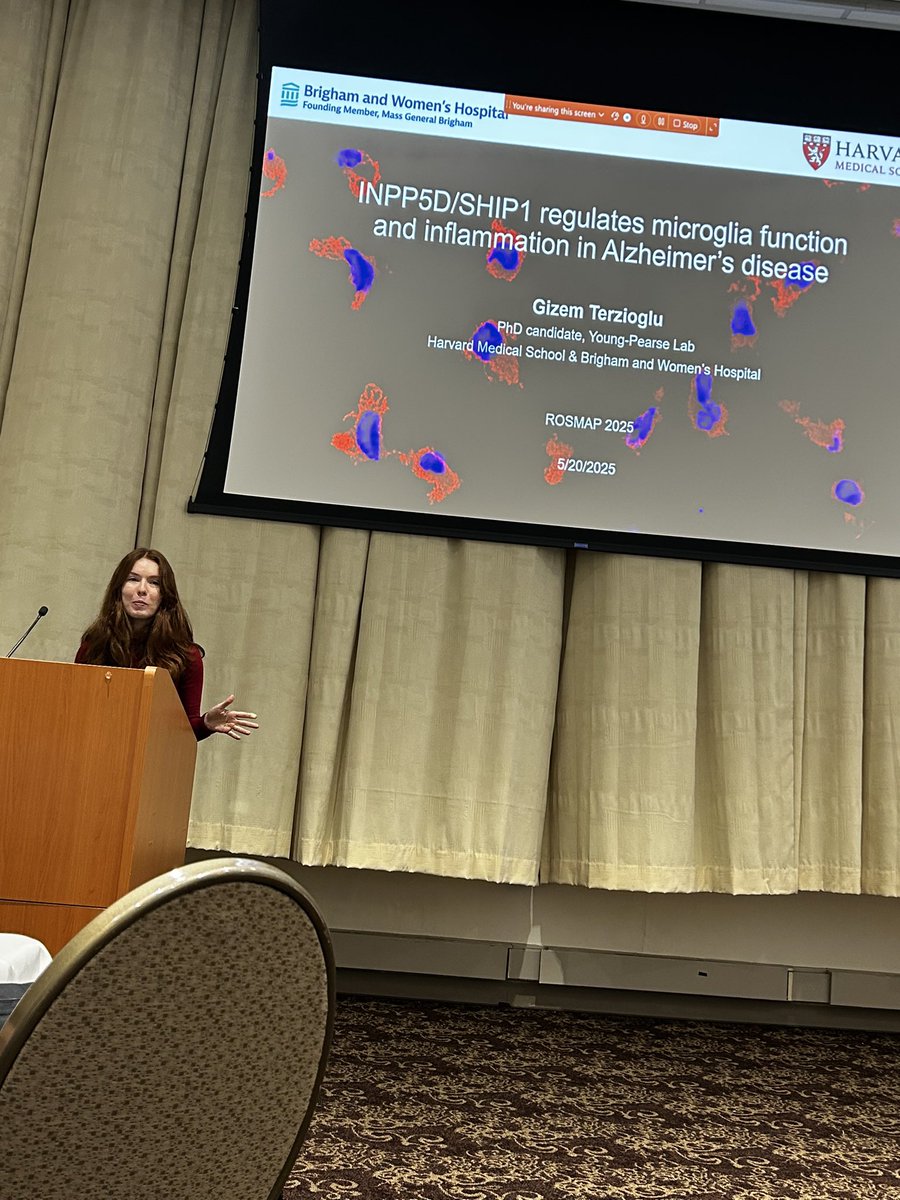 YoungPearseLab's tweet image. Shoutout to our lab at the ROSMAP meeting! Thanks David and the great team at @rushalzheimers for a great meeting!
🎉 @Heuerwego gave a great talk & won the Martha Ondrey Jr. Investigator Award 🏆
🧠 @GizemTerzioglu_ crushed it with her presentation on SHIP1 & the inflammasome!