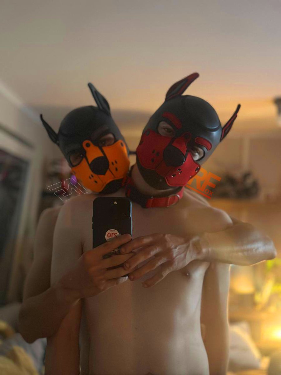 BAD_FOX703 | tweet media