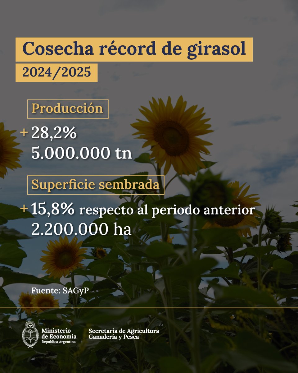 La cosecha de girasol logró un récord de producción que es orgullo nacional. Resultado del trabajo incansable del campo argentino y sus productores.

+ info 👉 argentina.gob.ar/noticias/cosec…
