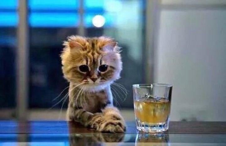 BestMario33's tweet image. Nou ka pran l pou tapaj
Men Wendyyy fini vre ui mesye 😭