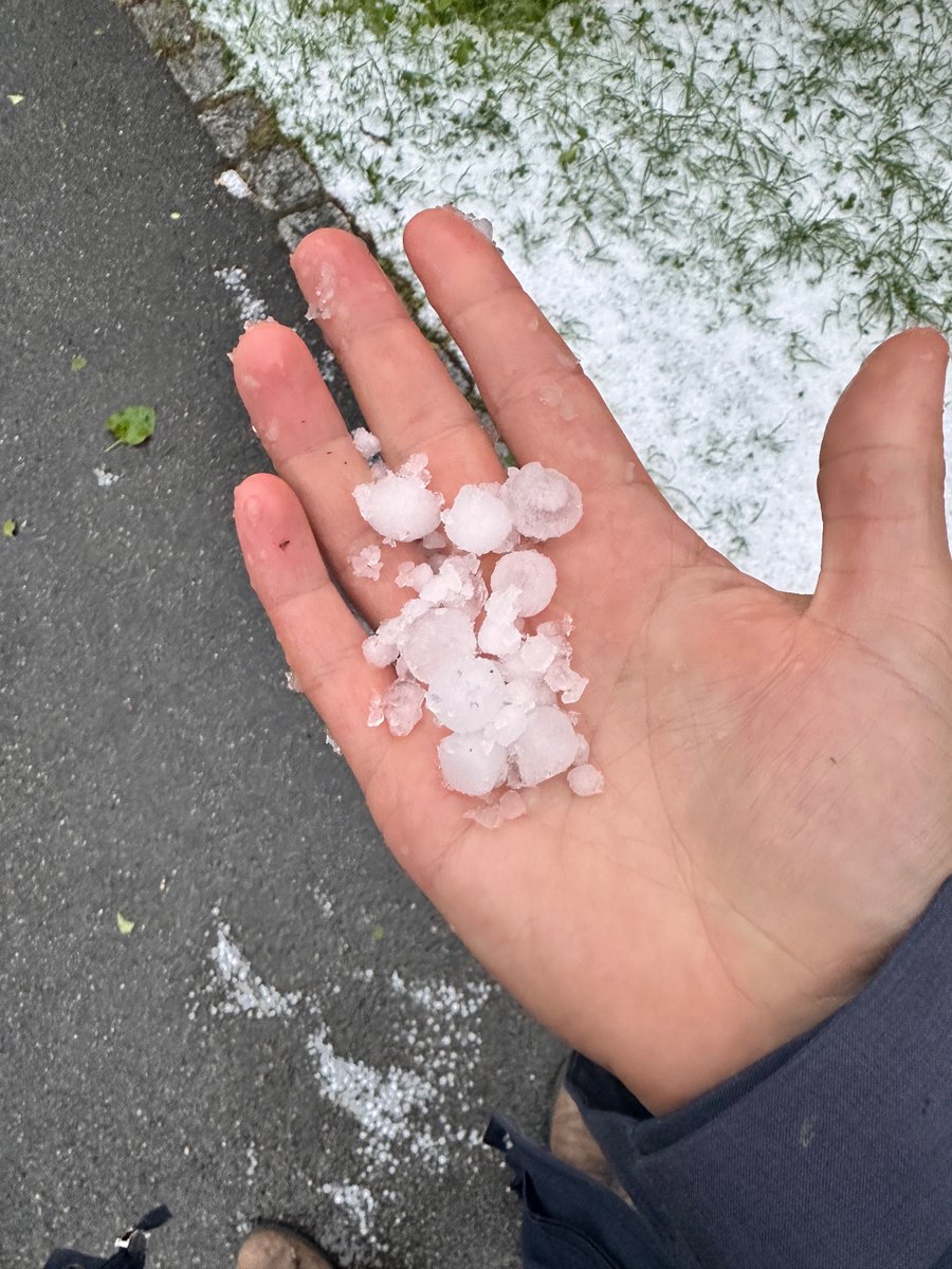 Heute in Gottmadingen  - Landkreis Konstanz. Extremes Gewitter. Halber Hegau ohne Strom. Alle Jungpflanzen zerstört —> enorme Ernteausfälle in Aussicht. Blattwerk der Bäume perforiert. Teilweise 20cm Hagel auf dem Boden.