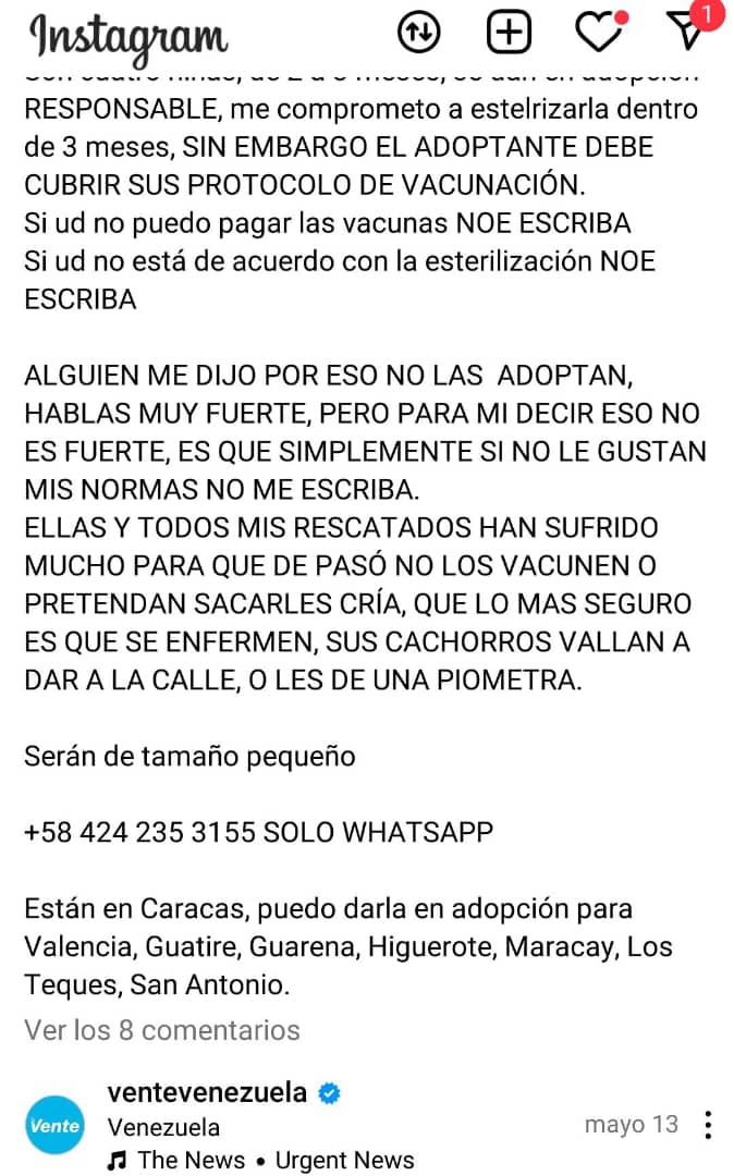 Urge la ayuda. Fueron abandonas de la forma más cruel.