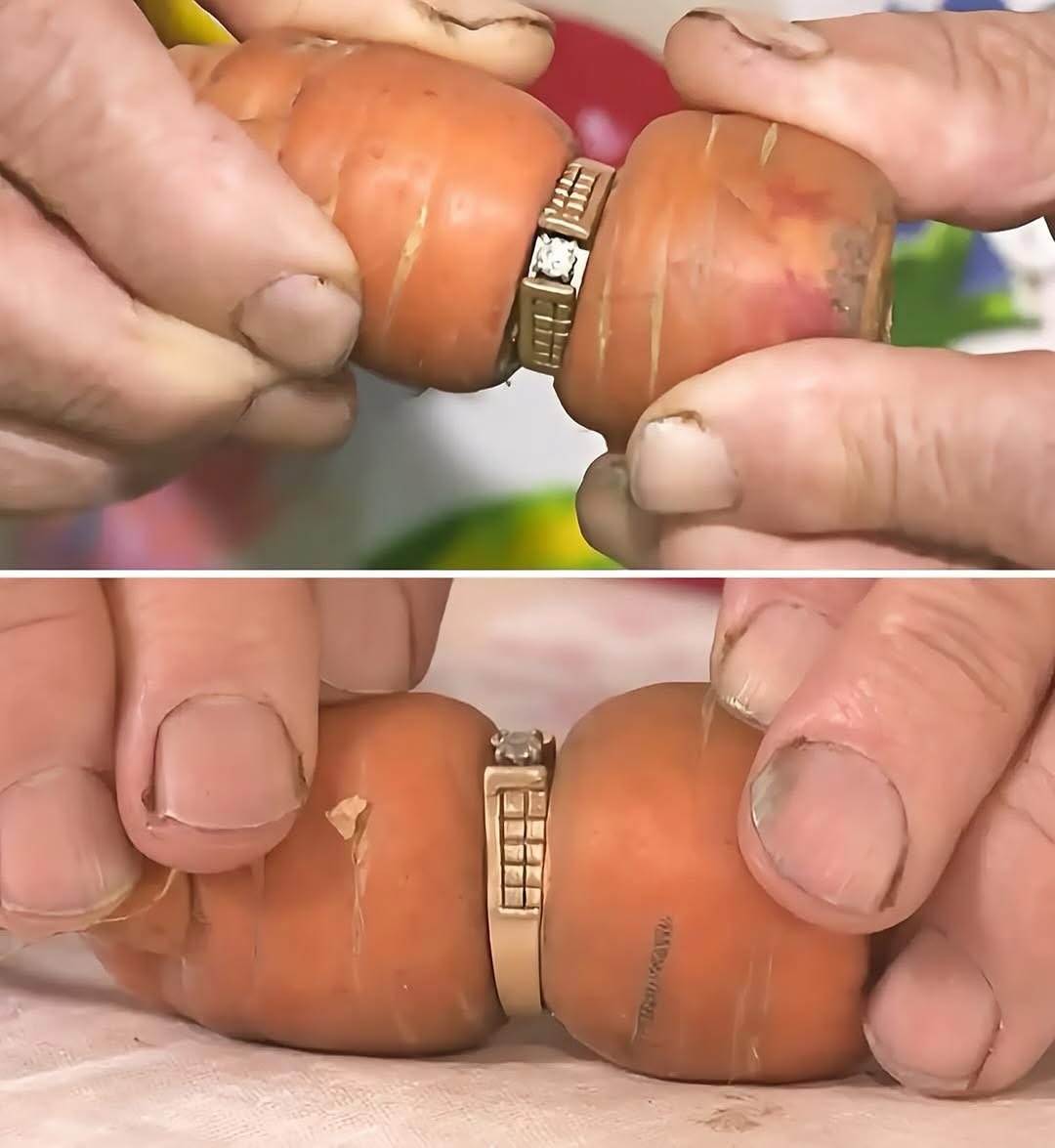 A Canadian woman named Mary Grams lost her diamond wedding ring while gardening in 2004. Thirteen years later, in 2017, her daughter-in-law found the ring-wrapped snugly around a carrot that had grown in the same garden where it was lost.

The carrot had grown through the ring,