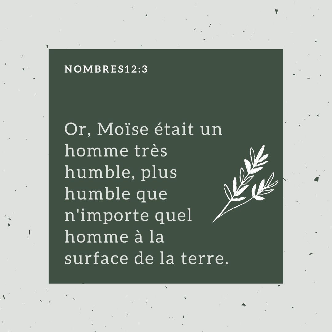 La Bible (@la_bible) on Twitter photo 