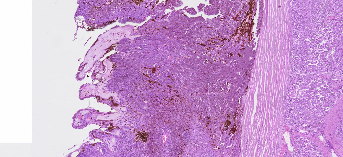 Estef Valdés tweet media