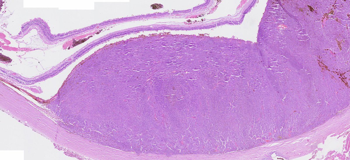 Estef Valdés tweet media